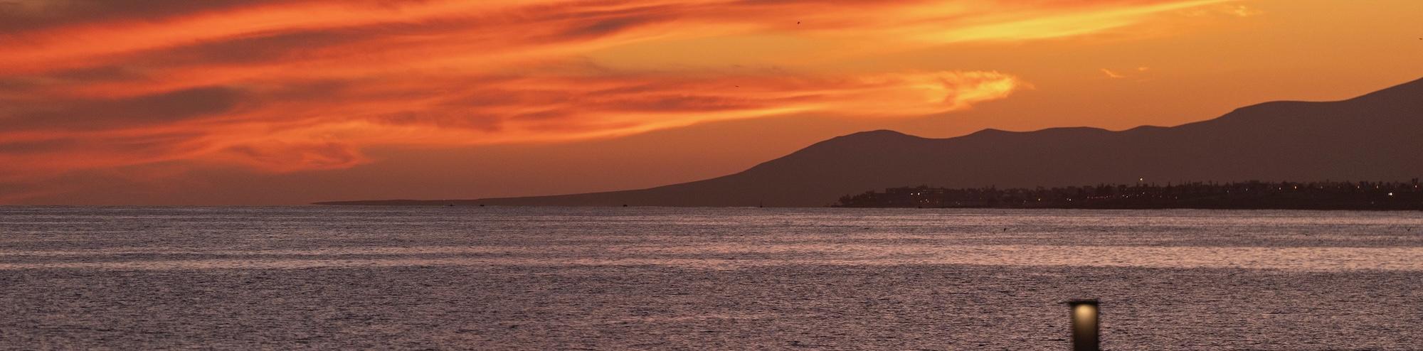 RORC Transatlantic Race 2026 | Destination: Antigua
